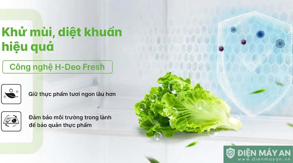 Tủ lạnh Aqua Inverter 469 lít Multi Door AQR-M560XA(GL)