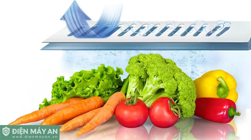 Tủ lạnh Toshiba Inverter 535 lít Japandi Multi Door GR-RF695WI-PGV(67)