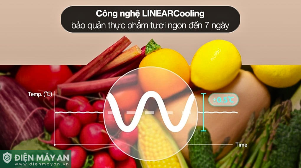 Tủ lạnh LG Inverter 332 lít LBD33BLMA