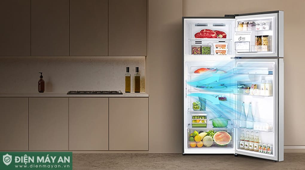 Tủ lạnh LG Inverter 315 lít LTB31BLMA