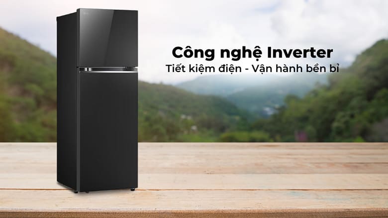 Tủ lạnh LG Inverter 461 lít LTB46BLG
