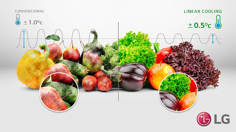 Tủ lạnh LG Inverter 461 lít LTB46BLG