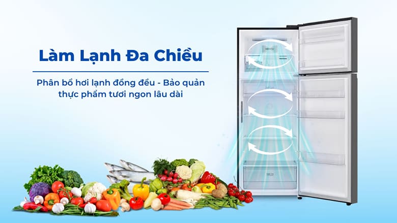 Tủ lạnh LG Inverter 461 lít LTB46BLG
