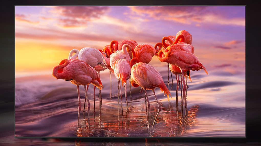 Chất lượng hình ảnh tuyệt hảo trên Smart Tivi QLED Samsung 4K 50 inch QA50Q60D mang đến cho người xem những màn trình diễn đỉnh cao