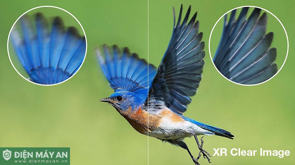 Google Tivi OLED Sony 4K 55 Inch XR-55A80L