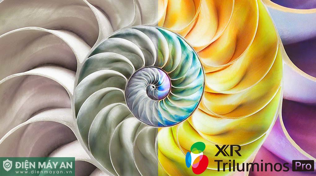 Google Tivi OLED Sony 4K 55 Inch XR-55A80L