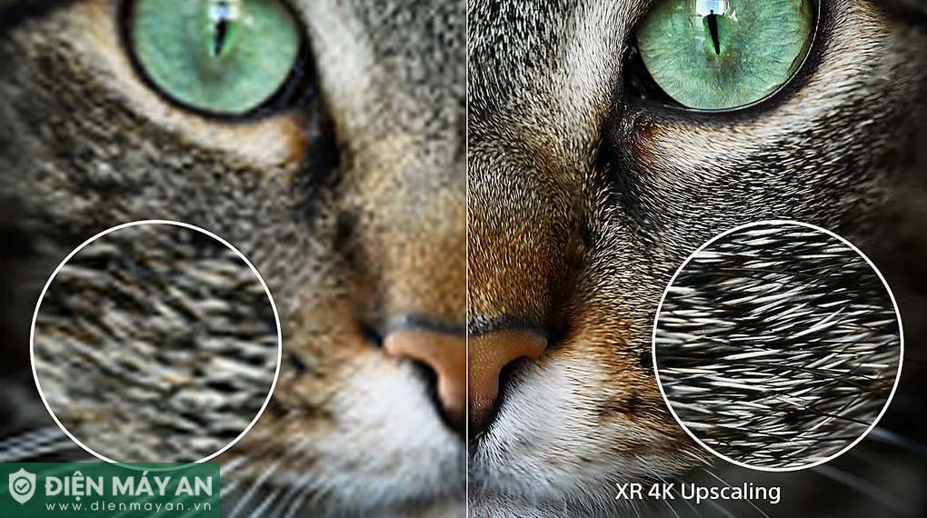 Google Tivi OLED Sony 4K 65 Inch XR-65A80L