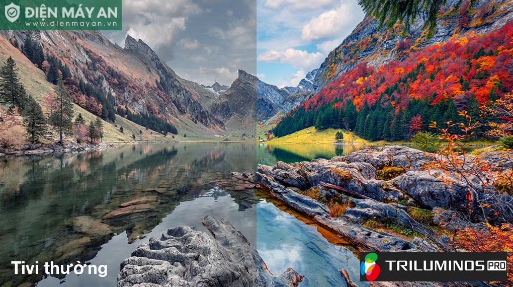 Google Tivi Sony 4K 85 Inch KD-85X80L