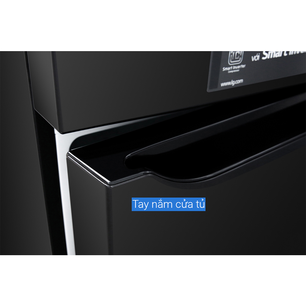 Tủ Lạnh LG Inverter 209 Lít GN-M208BL