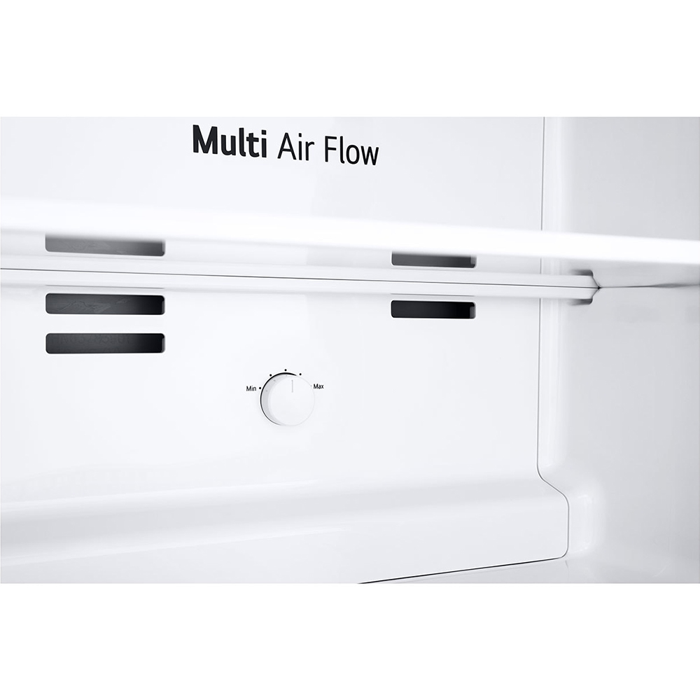 Tủ Lạnh LG Inverter 264L GV-D262PS