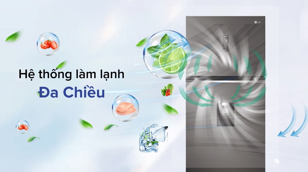 Tủ Lạnh LG Inverter 374 Lít GN-D372BLA