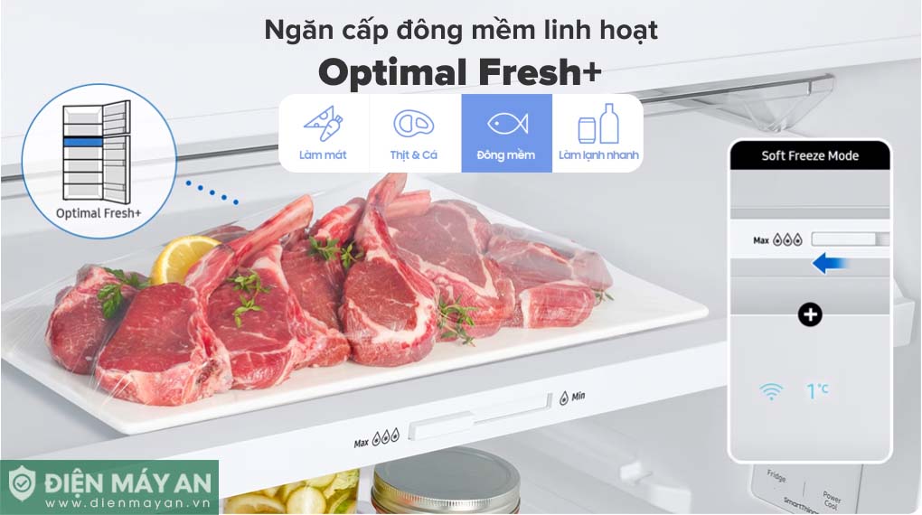 Tủ Lạnh Samsung Inverter 345 Lít RT35CG5544B1SV