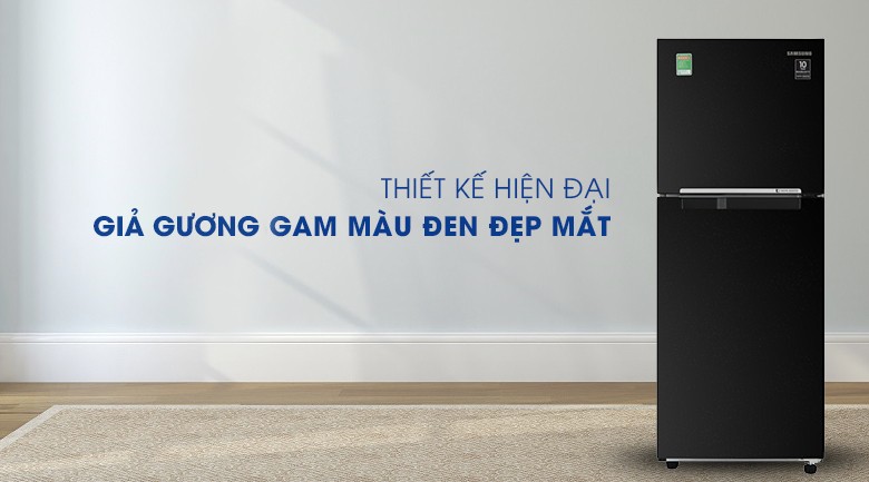 Tủ Lạnh Samsung Inverter 208 Lít RT20HAR8DBU/SV
