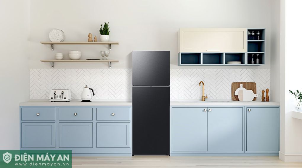 Tủ Lạnh Samsung Inverter 305 Lít RT31CG5424B1SV