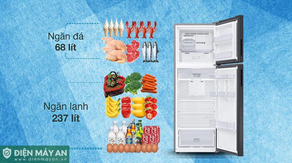 Tủ Lạnh Samsung Inverter 305 Lít RT31CG5424B1SV