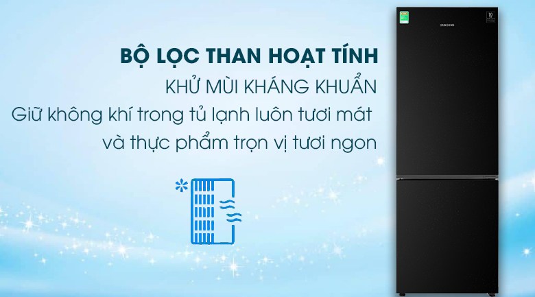 Tủ Lạnh Samsung Inverter 310 Lít RB30N4010BU/SV