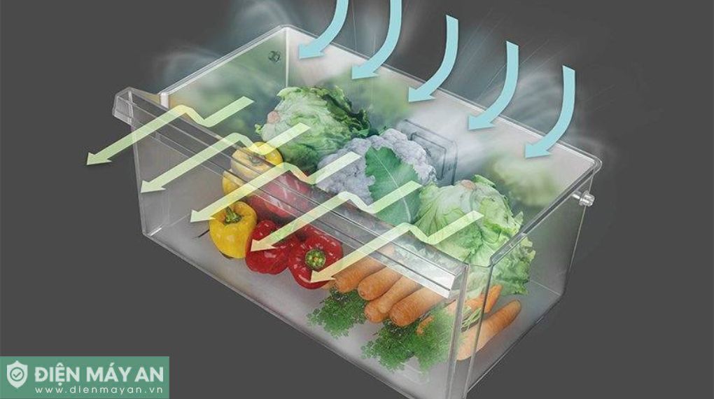 Tủ Lạnh Hitachi 323 Lít Inverter R-B340EGV1