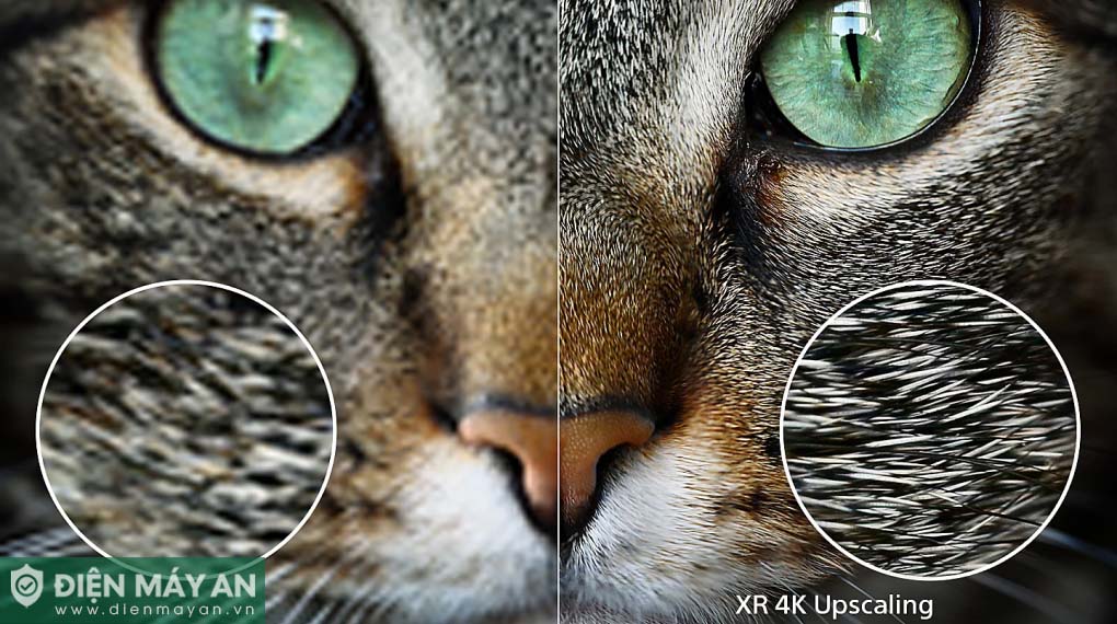 Google Tivi MiniLED Sony 4K 65 Inch XR-65X95L