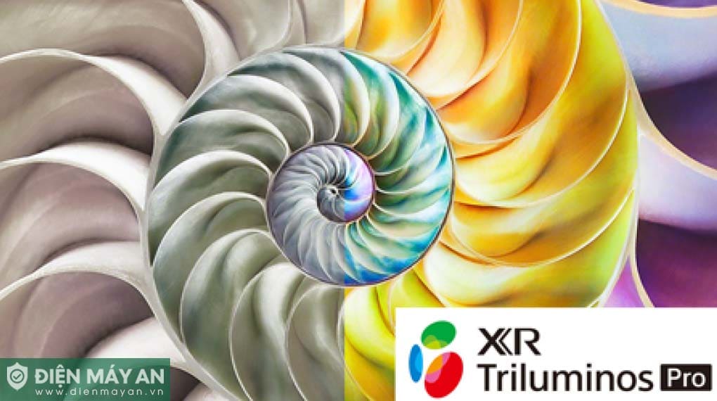 Google Tivi Mini LED Sony 4K 75 Inch XR-75X95L