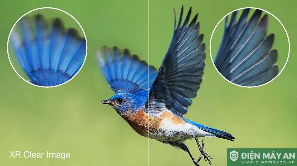 Google Tivi Mini LED Sony 4K 75 Inch XR-75X95L