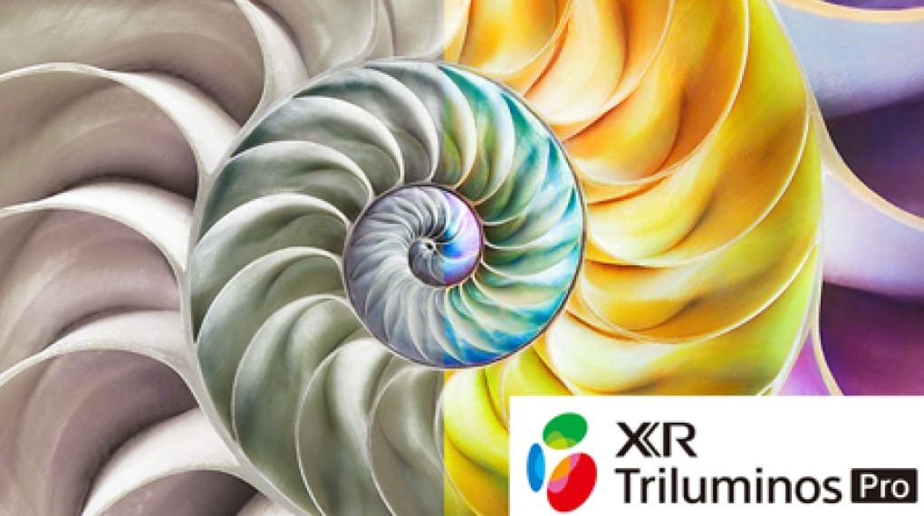 Google Tivi Mini LED Sony 4K 85 Inch XR-85X95L