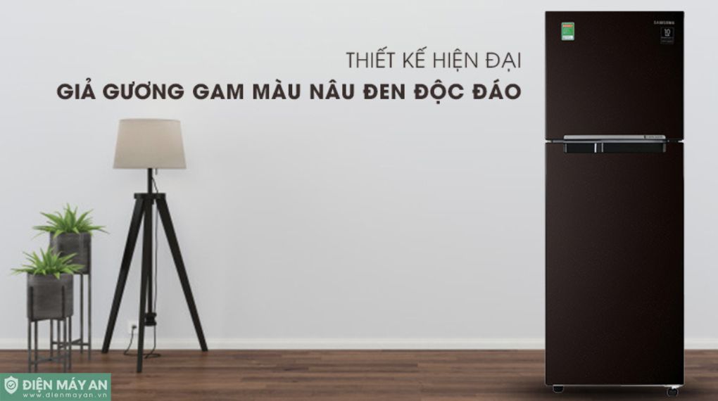 Tủ Lạnh Samsung Inverter 236 Lít RT22M4032BY/SV