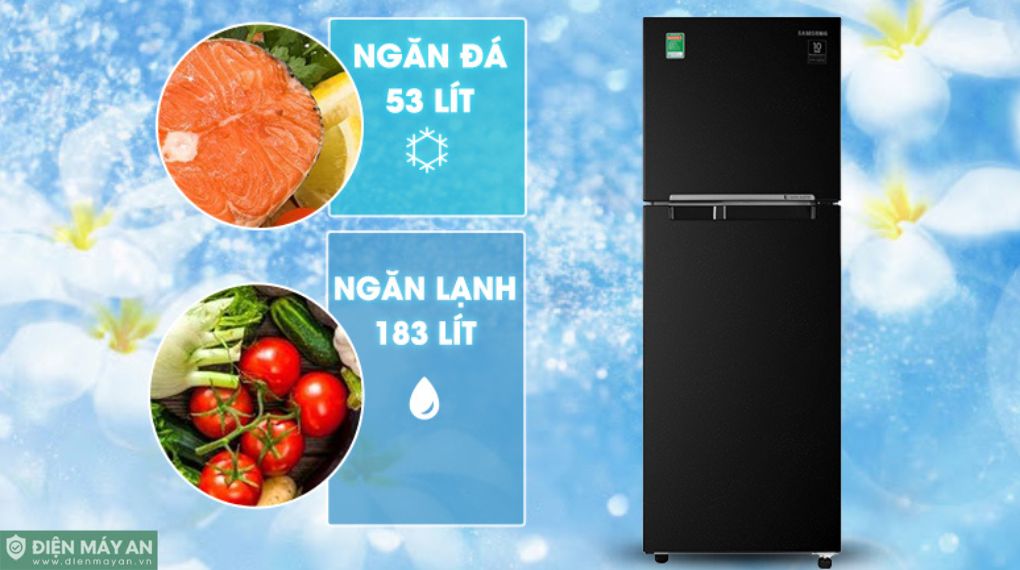 Tủ Lạnh Samsung Inverter 236 Lít RT22M4032BU/SV