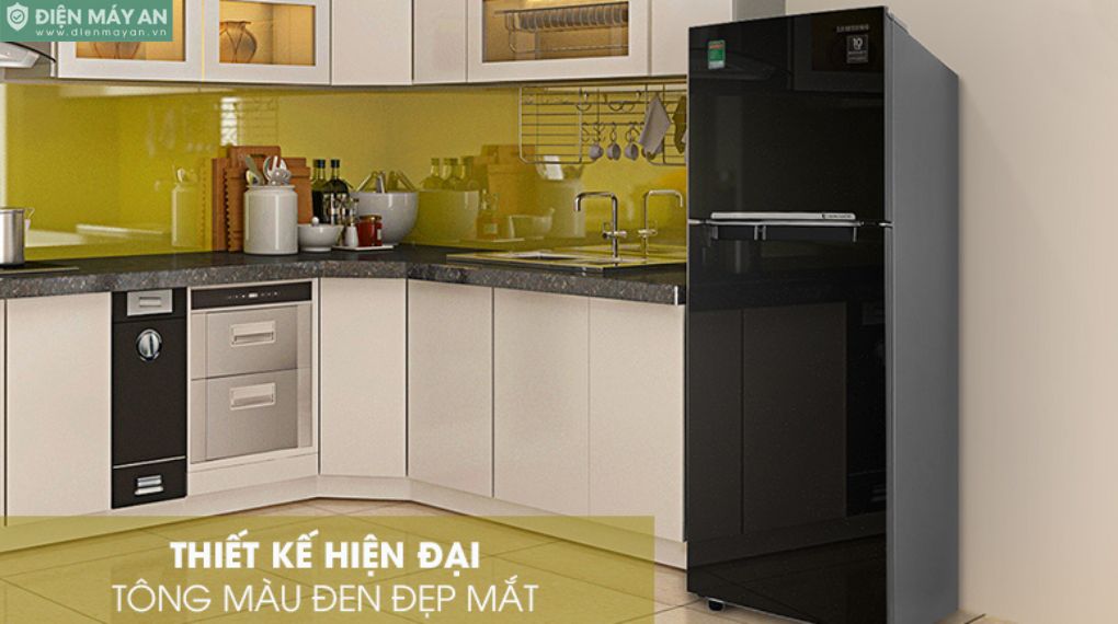 Tủ Lạnh Samsung Inverter 236 Lít RT22M4032BU/SV