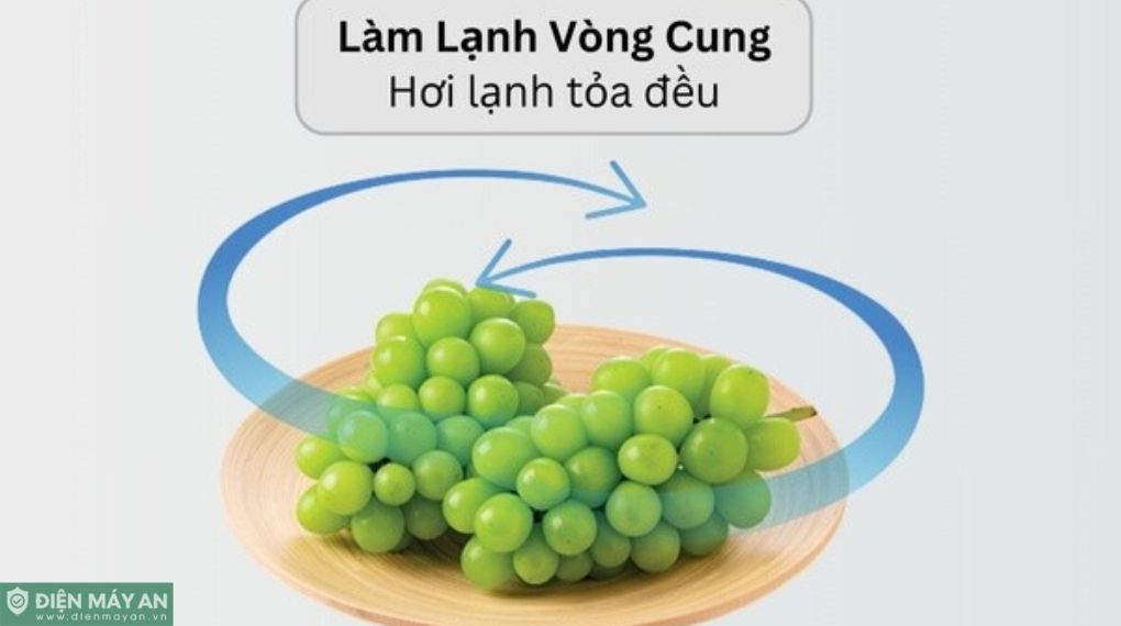 Tủ Lạnh Hitachi Inverter 525 Lít Side By Side HRSN9552DWDXVN