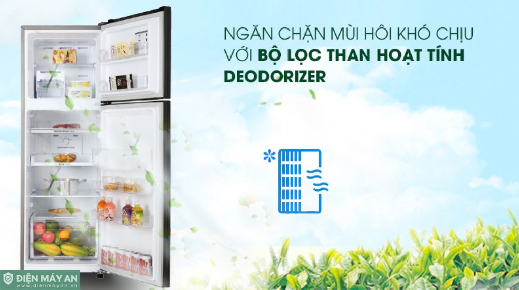 Tủ Lạnh Samsung Inverter 256 Lít RT25M4032BU/SV