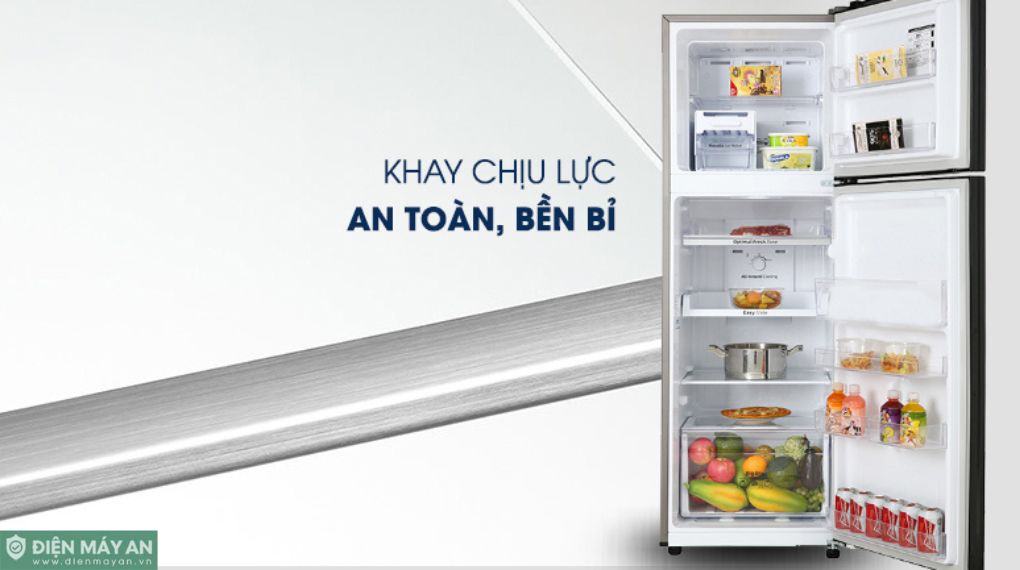 Tủ Lạnh Samsung Inverter 256 Lít RT25M4032BU/SV