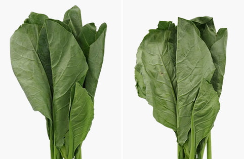 Tủ Lạnh Side By Side Hitachi Inverter 590 Lít R-M800PGV0 GBK